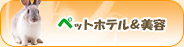 �y�b�g�z�e�������e