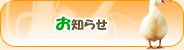 ���m�点
