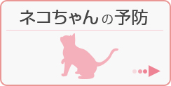 ネコちゃんの予防
