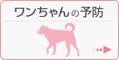 ワンちゃんの予防