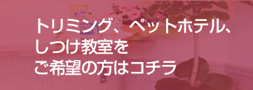 トリミング、ペットホテル、しつけ教室をご希望の方