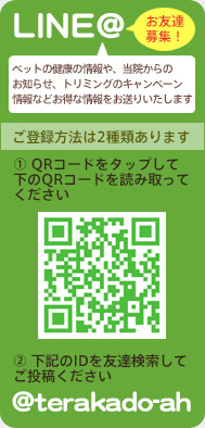 LINE@