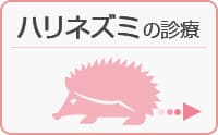 nlY~̐f