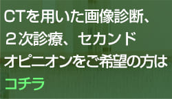 CTを用いた画像診断、２次診療、セカンドオピニオンをご希望の方はコチラ