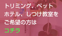 トリミング、ペットホテル、しつけ教室をご希望の方はコチラ